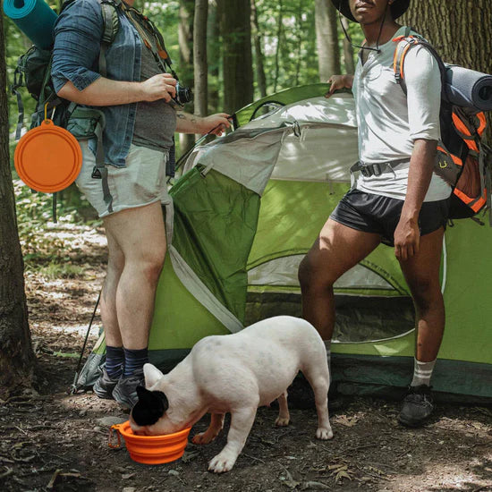 Esto es lo que obtienes con nuestro Cuenco Plegable NexoCan…