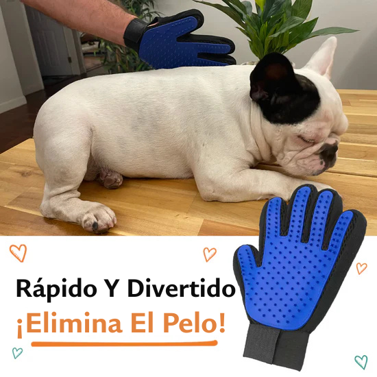 Presentamos El Guante Quitapelos Para Perros NexoCan®