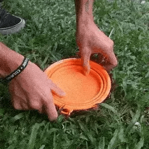 ¡Nunca Más Desperdicies Agua Ni Comida En Tus Viajes!