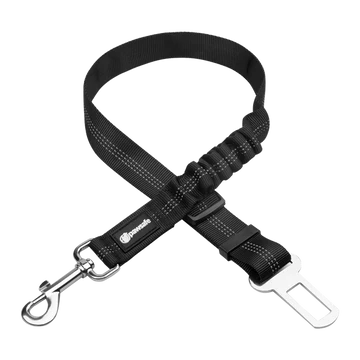 Cinturón De Seguridad