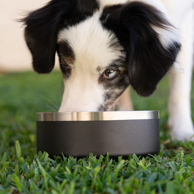 ¡Deja De Usar Cuencos Contaminados!