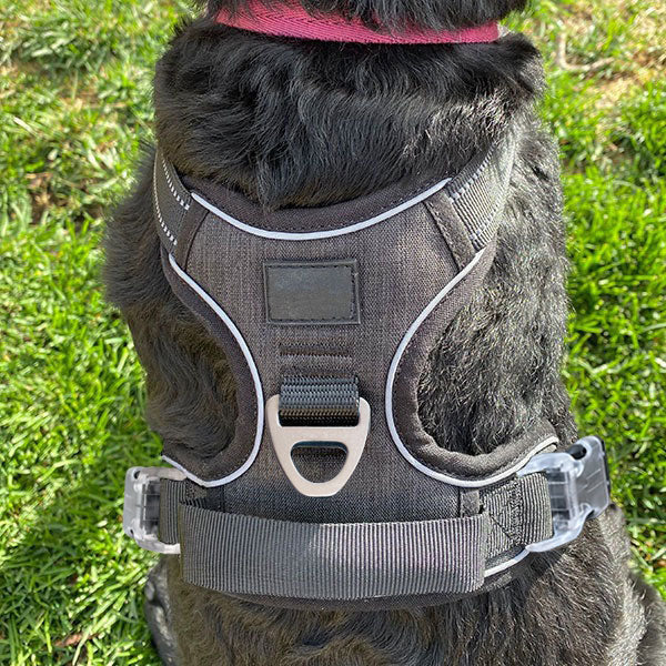 ¡Descubra el Poder de Nuestro Arnés Antitirones Para Perros!