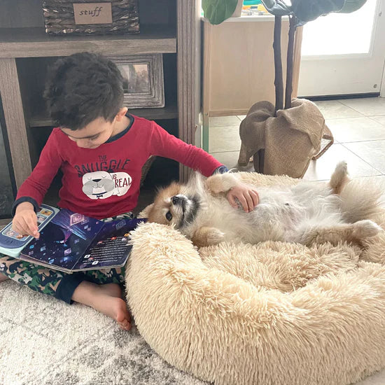 Los Perros Prefieren El Diseño Redondo y Elevado De La Cama Calmante Para Perros NexoCan®