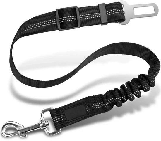 Presentamos el cinturón de seguridad para perros más vendido del mundo.