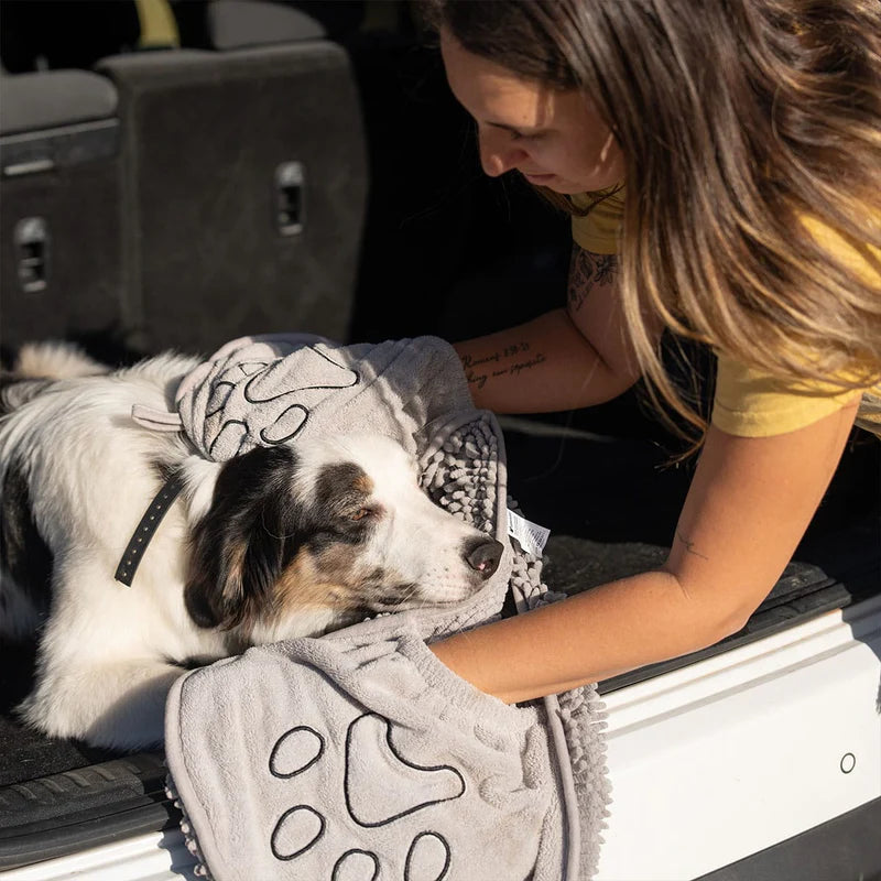 ¿Tu Perro Tarda Una Eternidad En Secarse?