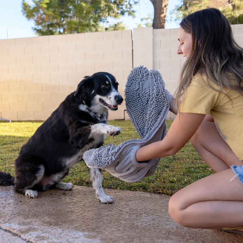 ¡Conoce La Solución Definitiva Para Secar A Tu Perro!