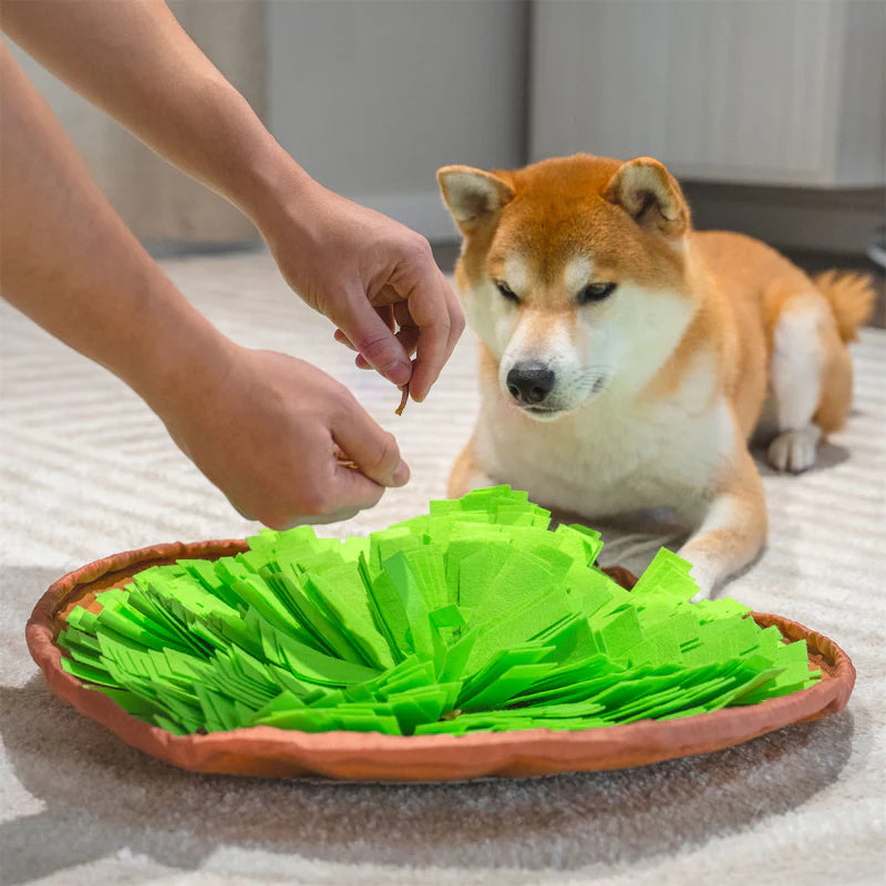 ¿Buscas Una Nueva Forma De 